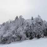 Schwuewong - 23